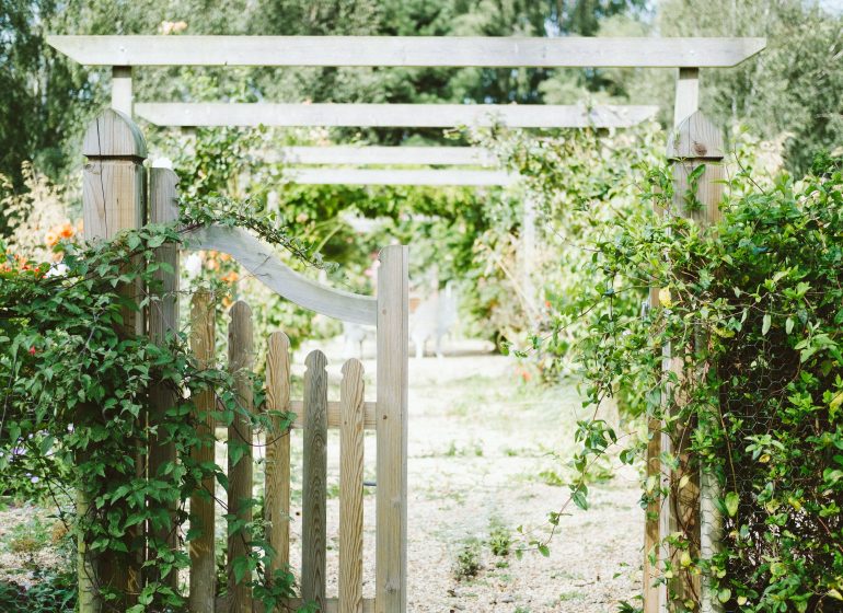 Amazing Green Startups To Inspire Us All