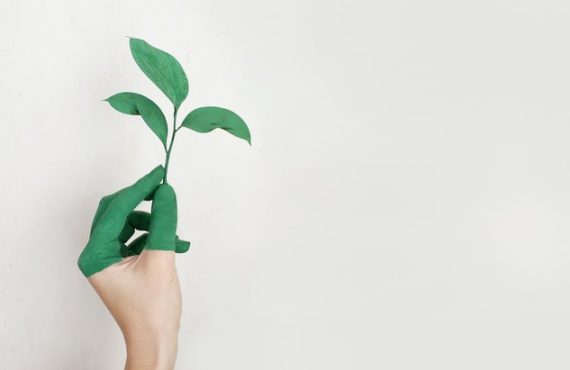 How Going Green Can Save Your Startup a Lot of Cash in 2021