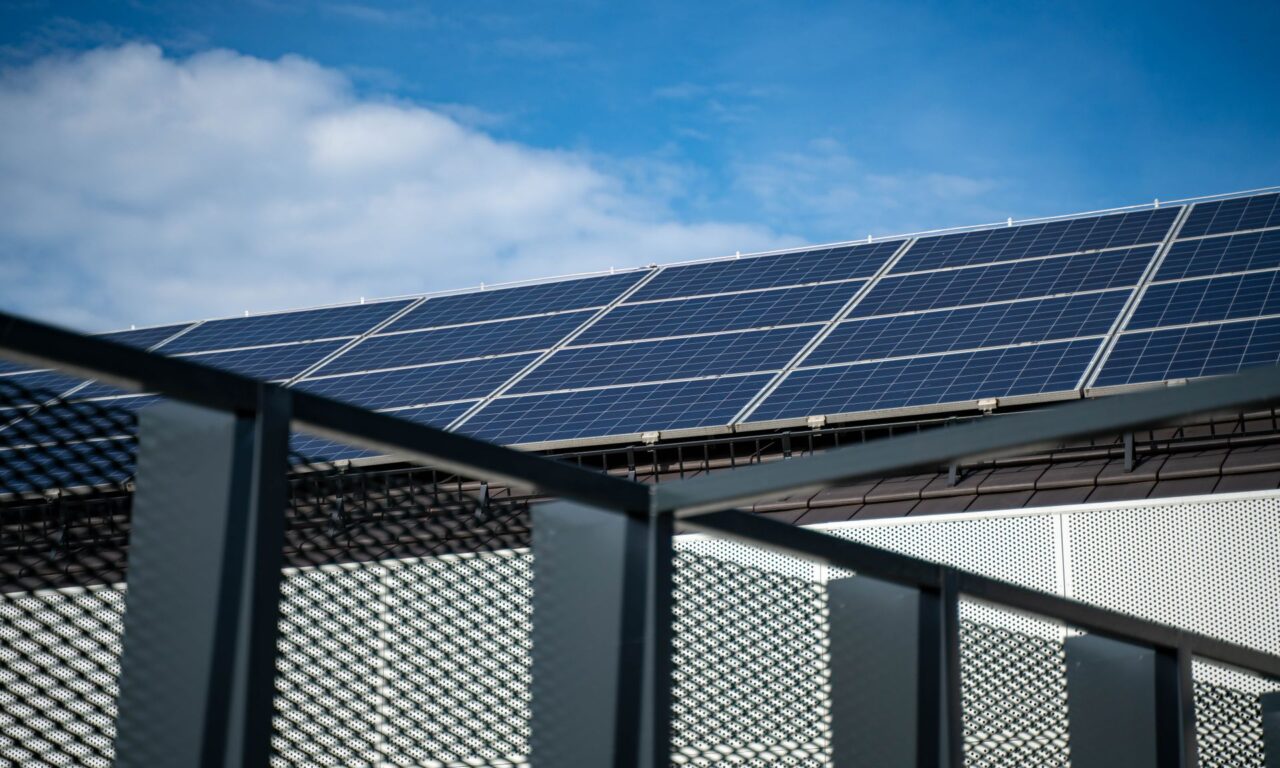 5 Ways to Make Your Business More Eco-Friendly