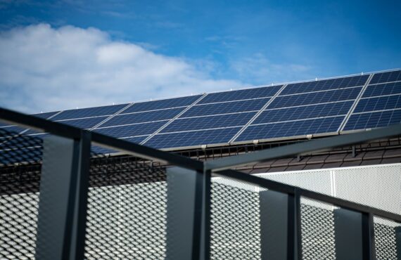 5 Ways to Make Your Business More Eco-Friendly
